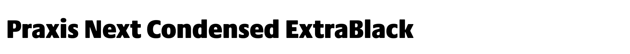 Praxis Next Condensed ExtraBlack image